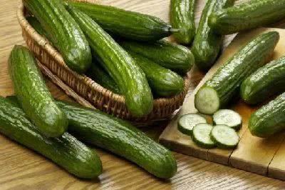 黄瓜成人免费视频无限,揭秘无限生成背后的秘密