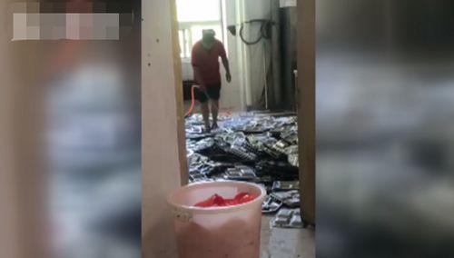 洗屁盆子成人能用吗视频,成人适用性探讨