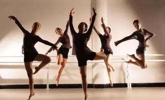 艺体成人舞蹈教学视频