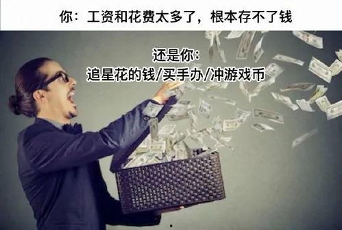 成人矛盾辩论视频大全,观点交锋，智慧碰撞