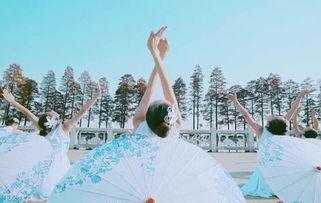 户外成人中国舞视频,感受中国舞韵律之美