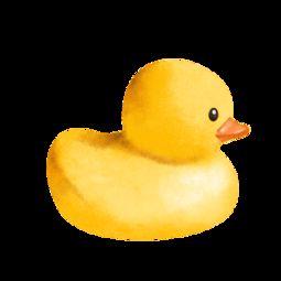 小黄鸭成人免费视频6,小黄鸭的私密世界探秘