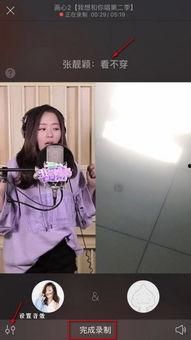 成人唱歌视频录制,揭秘成人唱歌视频背后的魅力与技巧