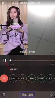 成人唱歌视频录制,揭秘成人唱歌视频背后的魅力与技巧