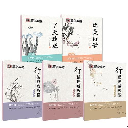 行楷练字帖成人初学视频