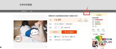 视频在线成人网,在线成人网背后的真相与影响