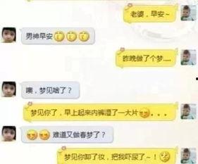 逗比成人对话视频大全,欢乐无限，笑料横生