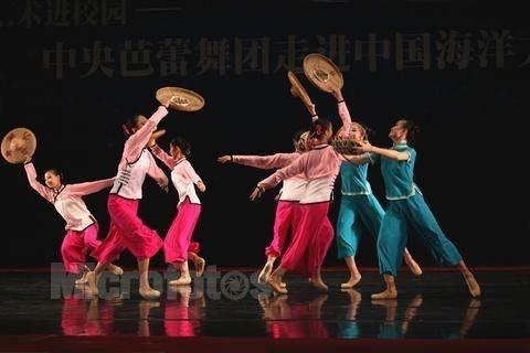 跳舞成人斗笠视频,成人世界中的青春旋律