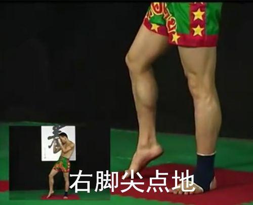 成人泰拳套路视频,视频解析套路技巧与策略