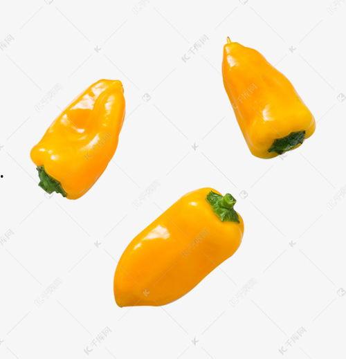 辣椒视频官网下载成人,探索成人生态的精彩瞬间