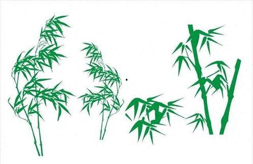 竹子成人简单画法视频,一招掌握竹韵之美