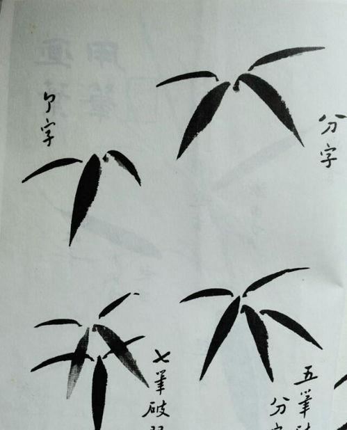 竹子成人简单画法视频,一招掌握竹韵之美