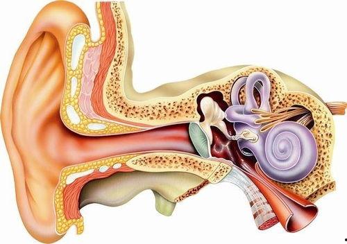 成人怎么带耳蜗耳塞视频,成人操作指南