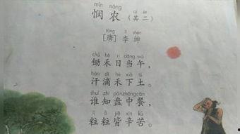 成人悯农朗诵视频,深情演绎农耕辛劳，唤起对农民的敬意与思考