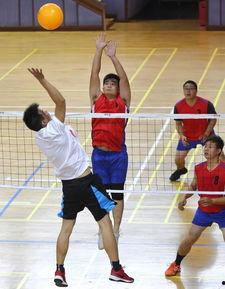 黄石成人排球比赛视频,激情碰撞，热血沸腾