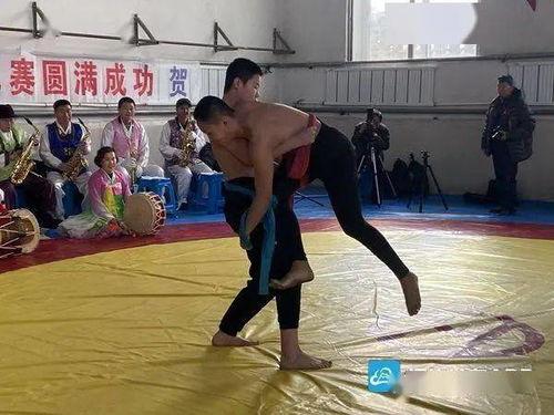鹤壁成人摔跤比赛视频,激情四溢的较量瞬间