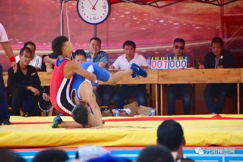 鹤壁成人摔跤比赛视频,激情四溢的较量瞬间