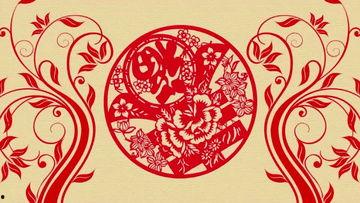 视频成人剪纸套装,开启您的剪纸创作之旅