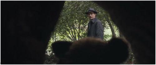 小树林的成人故事视频,揭秘成人世界的情感纠葛与成长历程