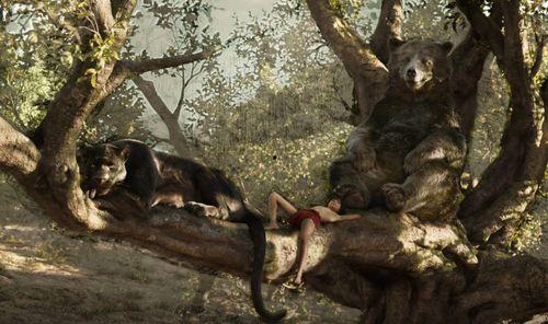 小树林的成人故事视频,揭秘成人世界的情感纠葛与成长历程