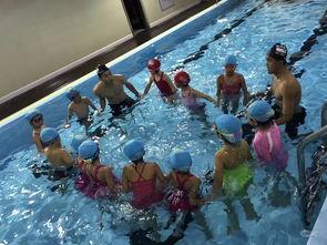 成人学游泳课视频大全,成人学游泳课视频大全精选解析