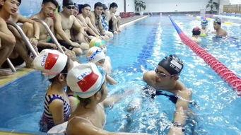 成人学游泳课视频大全,成人学游泳课视频大全精选解析