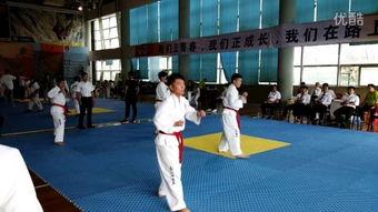 内乡成人跆拳道视频