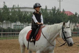 小孩骑马成人礼视频,一场见证成长的成人礼之旅