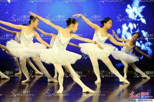 成人舞蹈小蓓蕾组合视频,舞动青春，绽放魅力