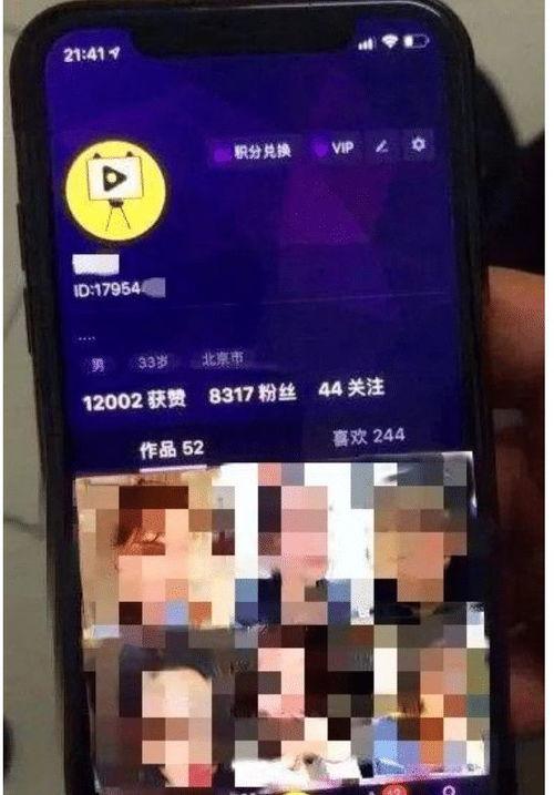 软件成人短视频,创新内容与互动体验的完美融合