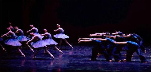 成人芭蕾剧目群舞视频,成人芭蕾剧目群舞视觉盛宴