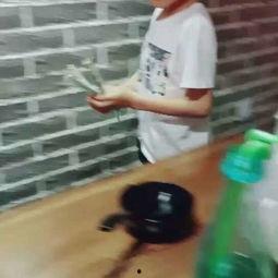 成人搭积木的过程视频,成人视角下的创意拼搭之旅