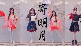 舞蹈成人国风舞蹈视频,穿越时空的古典美学演绎