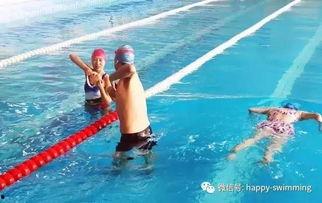 成人学游泳的教学视频,成人学游泳教学视频精华概述
