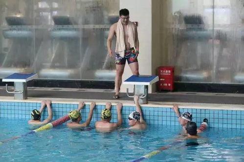 成人学游泳的教学视频,成人学游泳教学视频精华概述