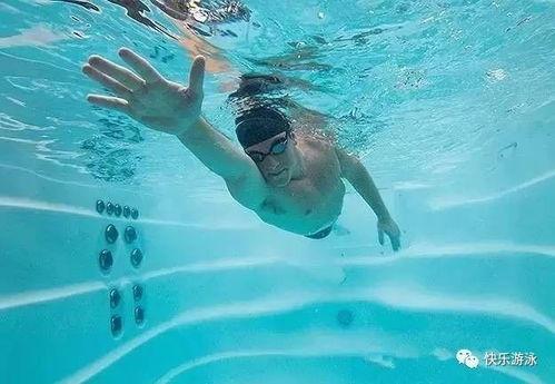 成人学游泳的教学视频,成人学游泳教学视频精华概述