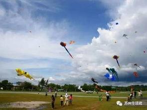 放风筝成人课堂视频