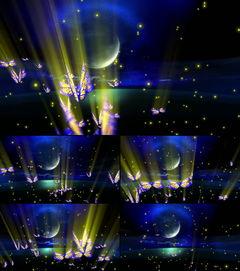 成人舞蹈演出蝴蝶翅膀视频