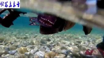 成人给爸爸洗脚视频播放