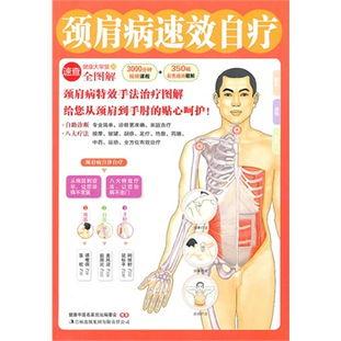 成人落肩教程图解大全视频,图解大全视频精华概述