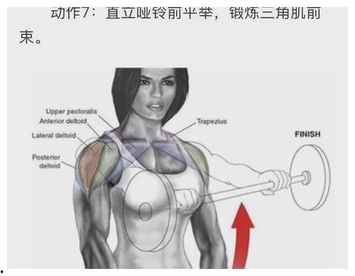 成人落肩教程图解大全视频,图解大全视频精华概述