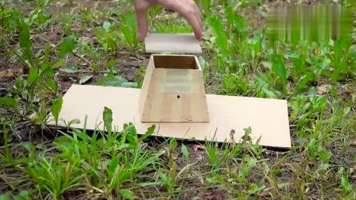 成人手工制作爆米花视频,跟随视频教程，轻松掌握家庭爆米花制作技巧