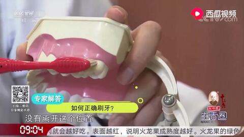 成人牙科刷牙视频大全,成人刷牙技巧视频大全解析