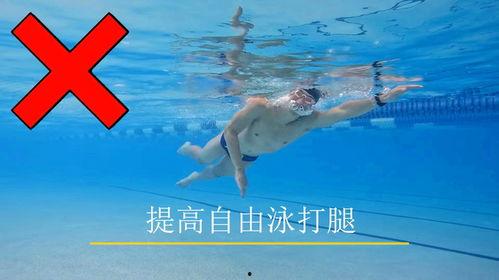 成人怎么练打腿视频,跟随专业视频轻松入门