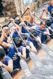 成人划龙舟视频在线观看,在线观看成人龙舟竞技风采