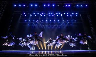 自由舞者成人晚课视频,舞动心灵，释放自我