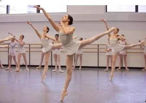 早操成人室内舞蹈视频,早操室内舞蹈视频赏析