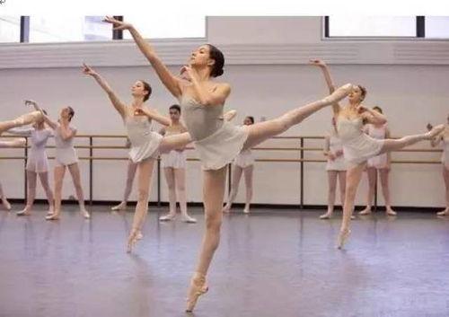 成人舞蹈卡路里视频教程,跟随视频教程高效塑形