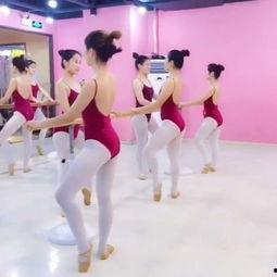 无极跳舞成人舞蹈视频,成人舞蹈视频中的动感魅力解析