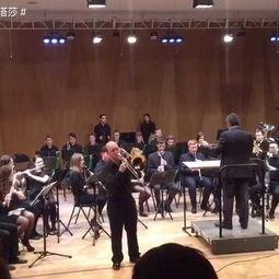 长笛成人乐团演奏视频,和谐旋律中的心灵共鸣